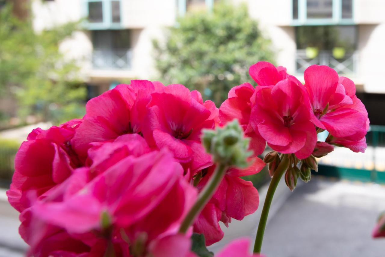 Appartement Boutique Center 3 Min Walk , Free Parking Nice